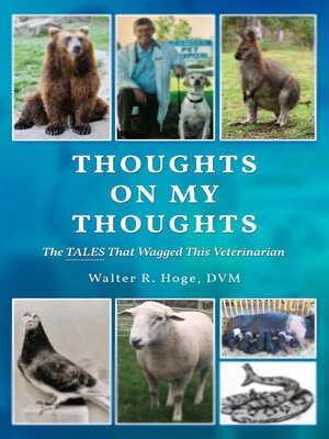 cover image of Thoughts On My Thoughts